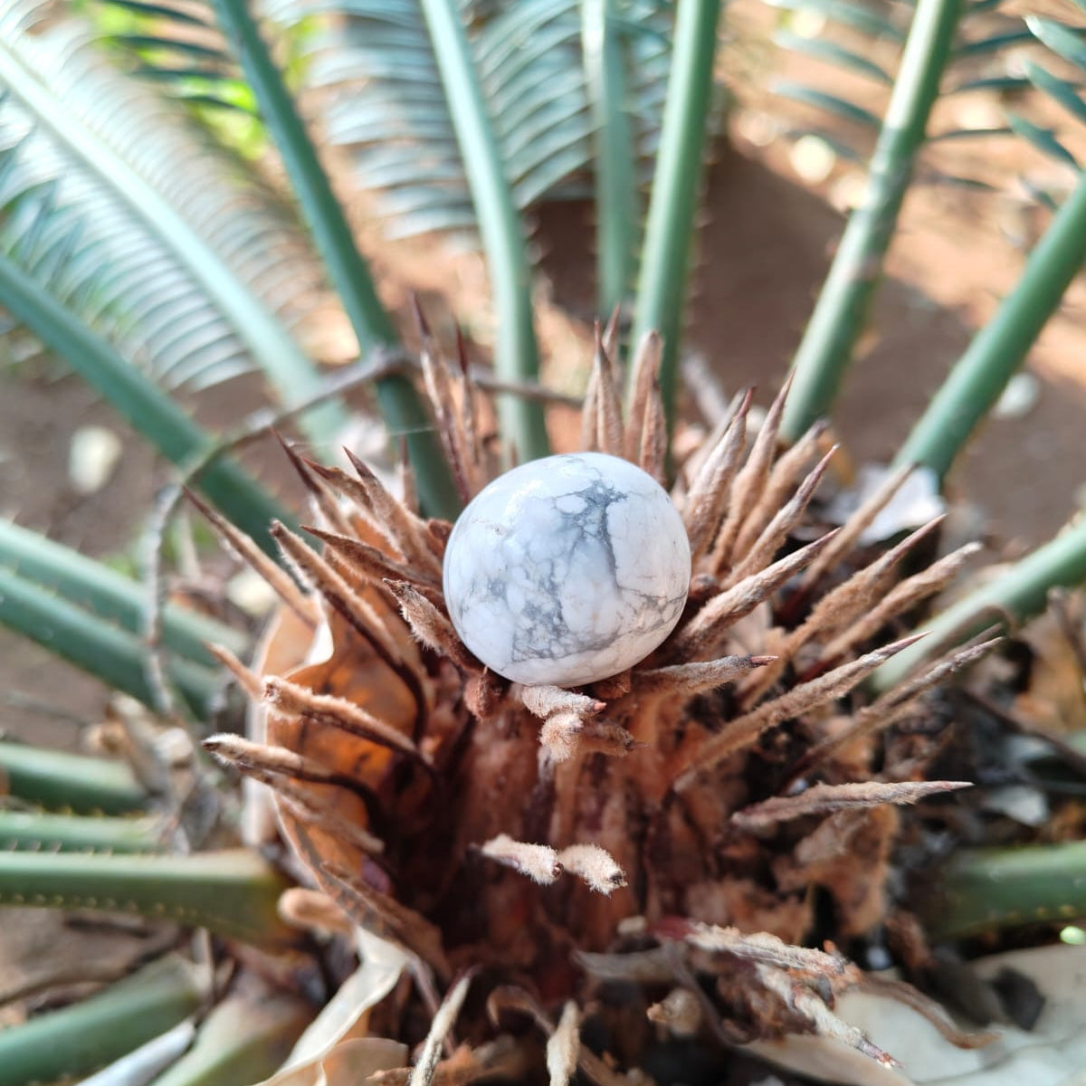 Howlite (Tumble)