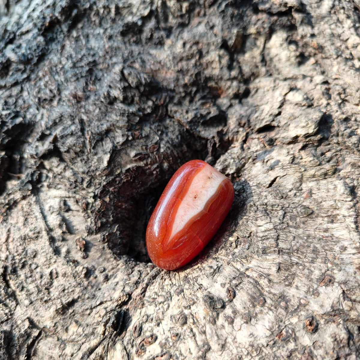 Carnelian (Tumble)
